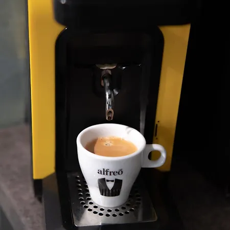 Oltenia Happy Apartment *