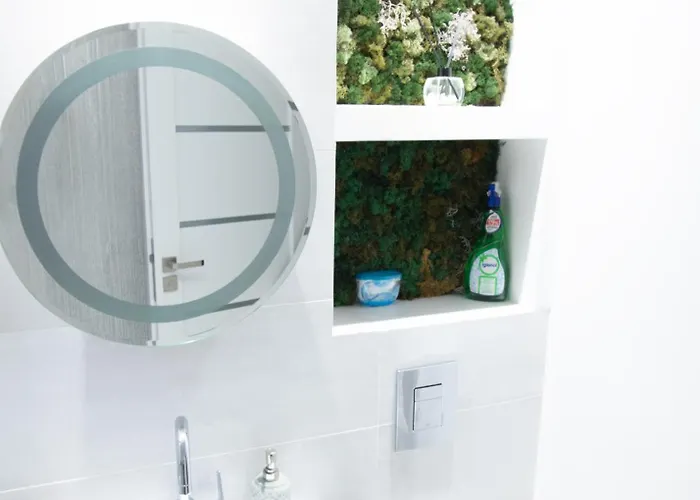 Oltenia Happy Craiova